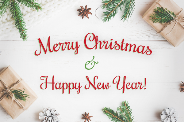 we wish you a merry christmas and a happy new year